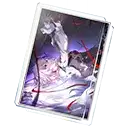 To Evernight's Stars