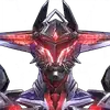 Echo