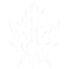 Shield Knight